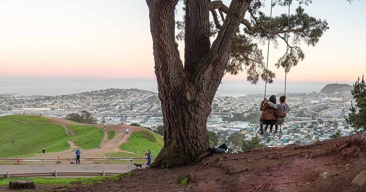 Swing in the trees in Bernal Heights Park, San Francisco, California